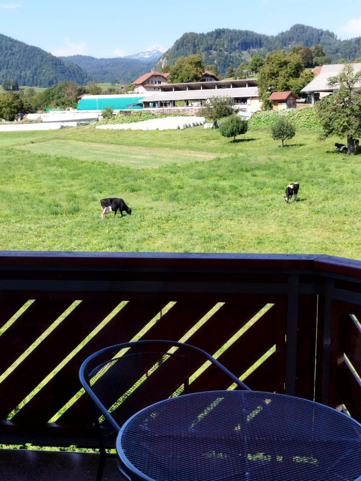 Apartma Julia Spodnje Gorje Luaran gambar